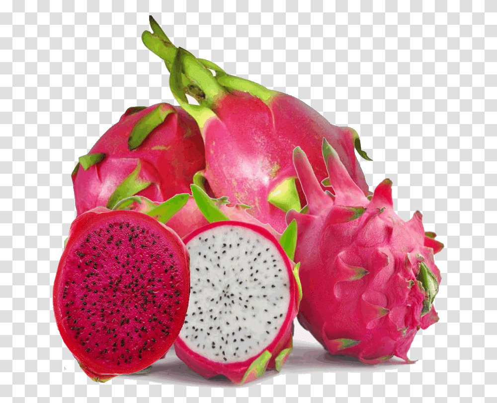 Dragon Fruit Dragon Fruit Images Hd Download, Plant, Food, Flower, Blossom Transparent Png