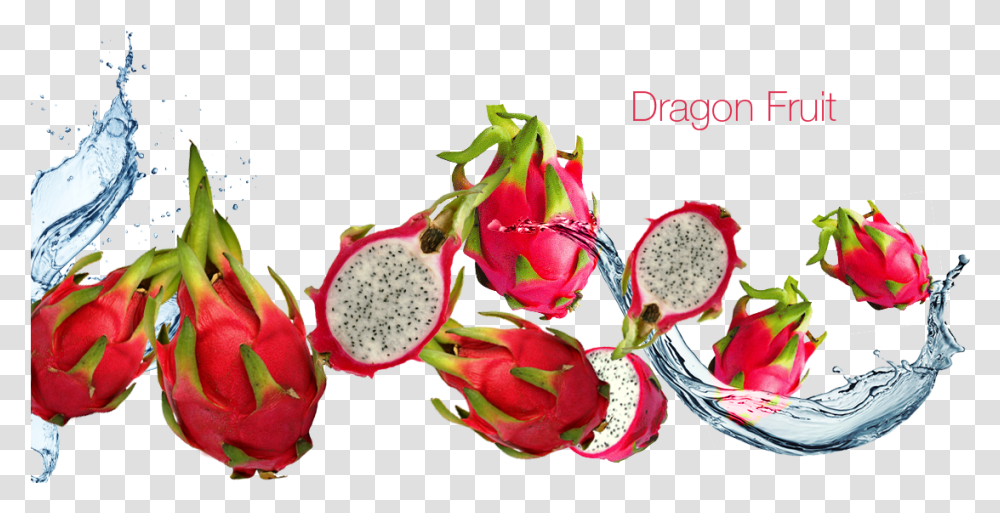 Dragon Fruit Dragon Fruit Juice, Plant, Flower, Blossom, Food Transparent Png