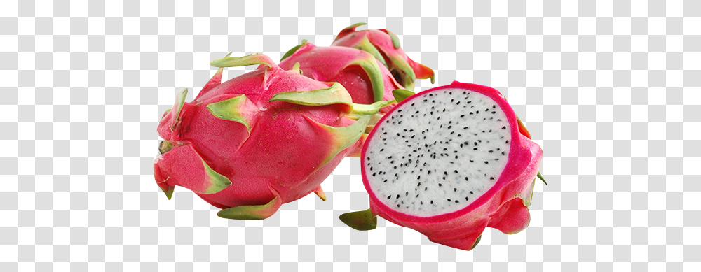 Dragon Fruit EachquotData RimgquotlazyquotData Rimg Strawberry And Dragon Fruit, Plant, Rose, Flower, Food Transparent Png