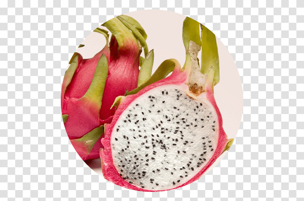 Dragon Fruit Flavour Dragon Fruit Kiwi Fruit, Plant, Food, Produce, Flower Transparent Png