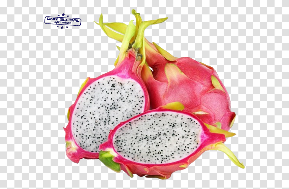 Dragon Fruit Fruit With White Inside, Plant, Food, Flower, Produce Transparent Png