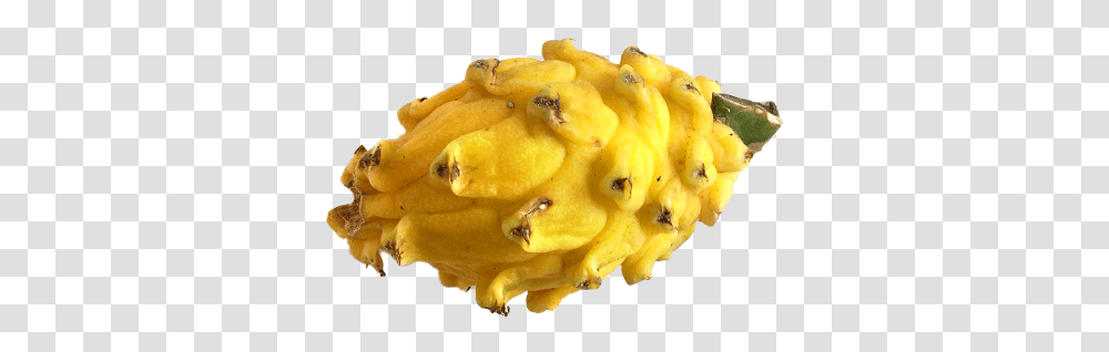 Dragon Fruit Give You A Longer And Healthy Life Horned Melon, Food, Fungus, Plant, Popcorn Transparent Png