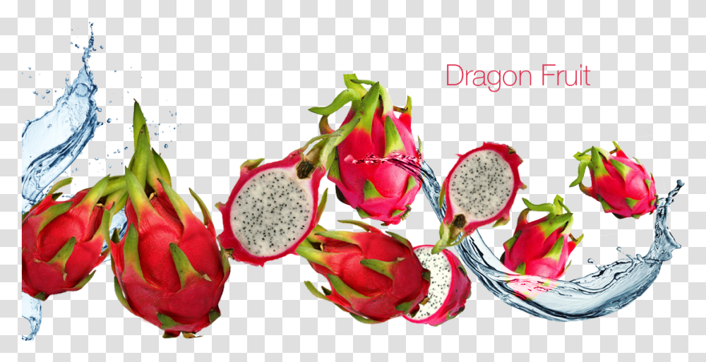 Dragon Fruit Images Dragonfruit, Plant, Flower, Blossom, Food Transparent Png