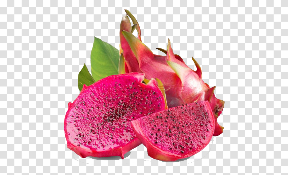 Dragon Fruit Is Usually Oval Elliptical Dragon Fruit In Cambodia, Plant, Flower, Food, Produce Transparent Png