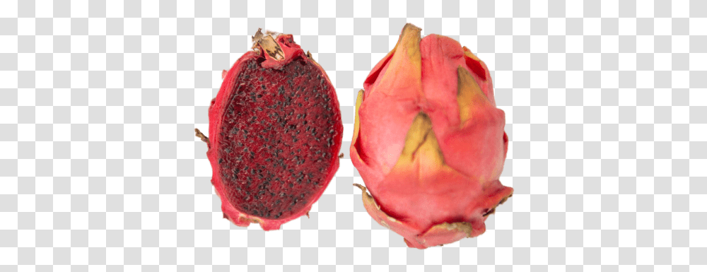 Dragon Fruit Red Flesh X1 Dragonfruit, Plant, Food, Rose, Flower Transparent Png