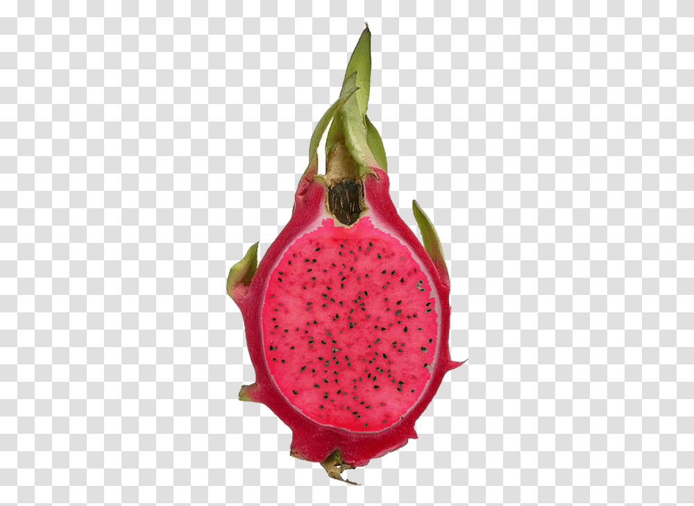 Dragon Fruit Red&white Truong Enterprises Imported Fruits In India, Plant, Food, Watermelon Transparent Png