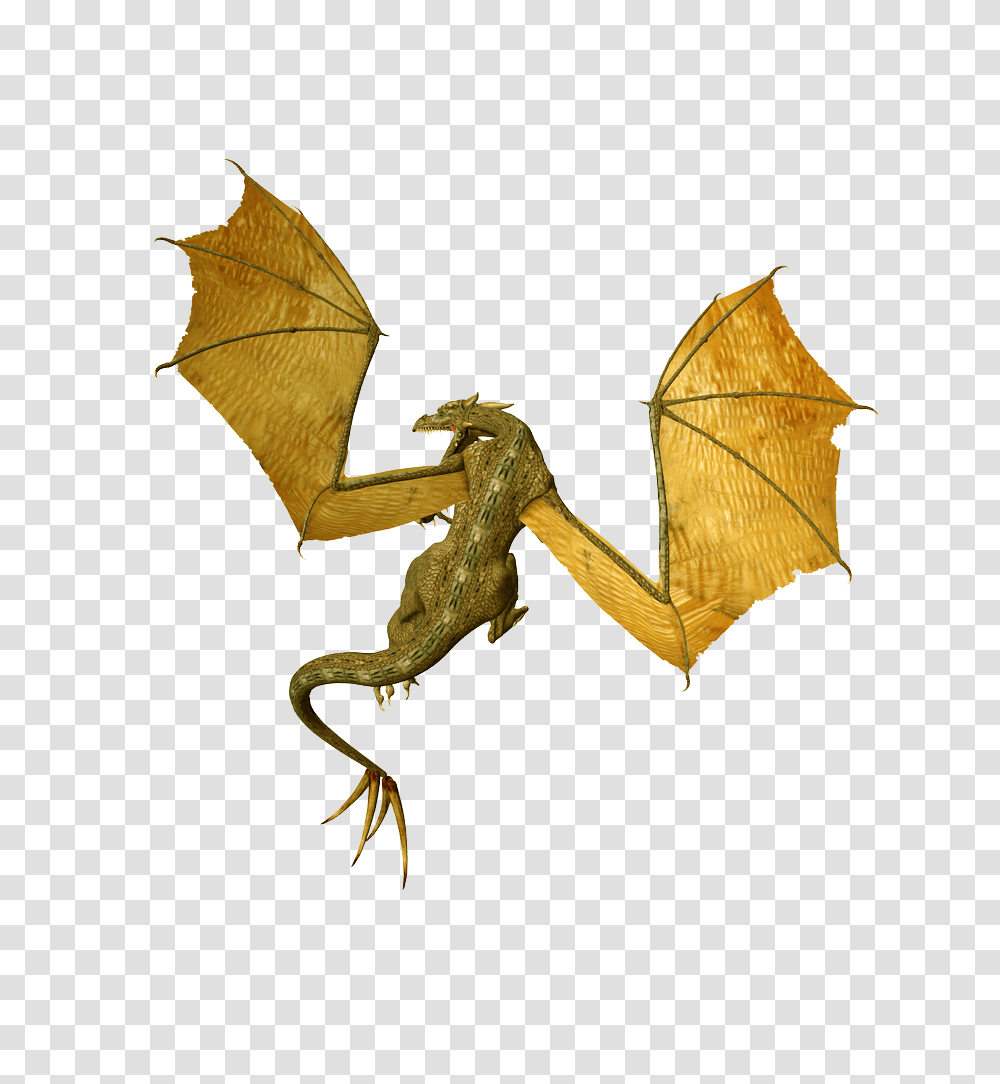 Dragon Images Drago Picture, Fantasy, Leaf, Plant Transparent Png