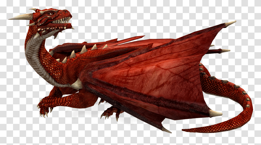 Dragon Images Free Download Realistic Red Dragon Transparent Png