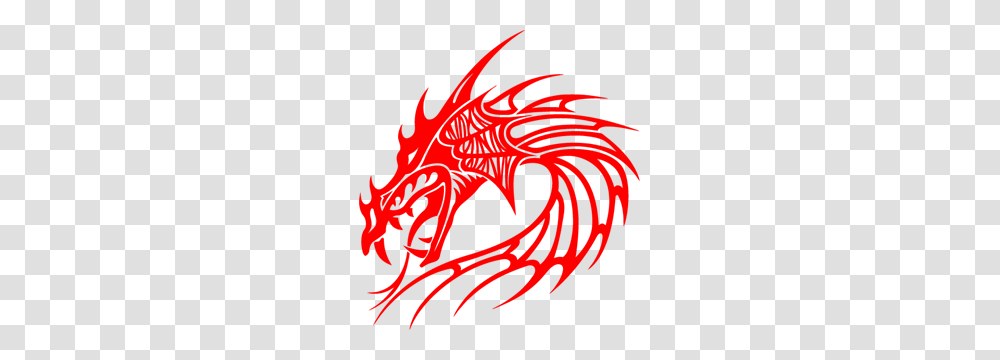 Dragon Logo Vectors Free Download Transparent Png