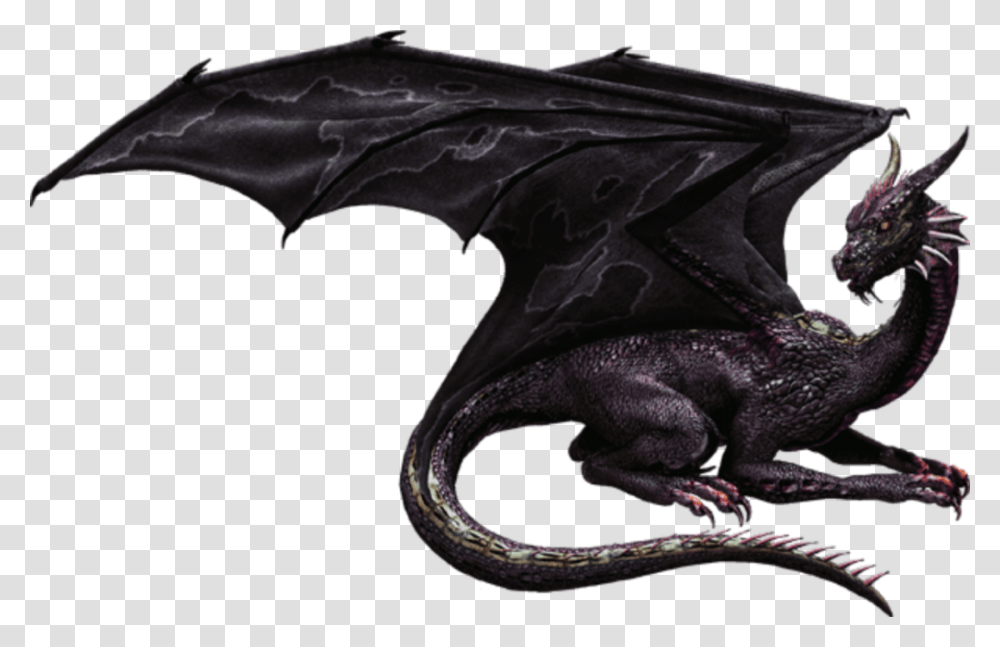 Dragon Reptile Fantasy Mystical Creature Mythology Transparent Png