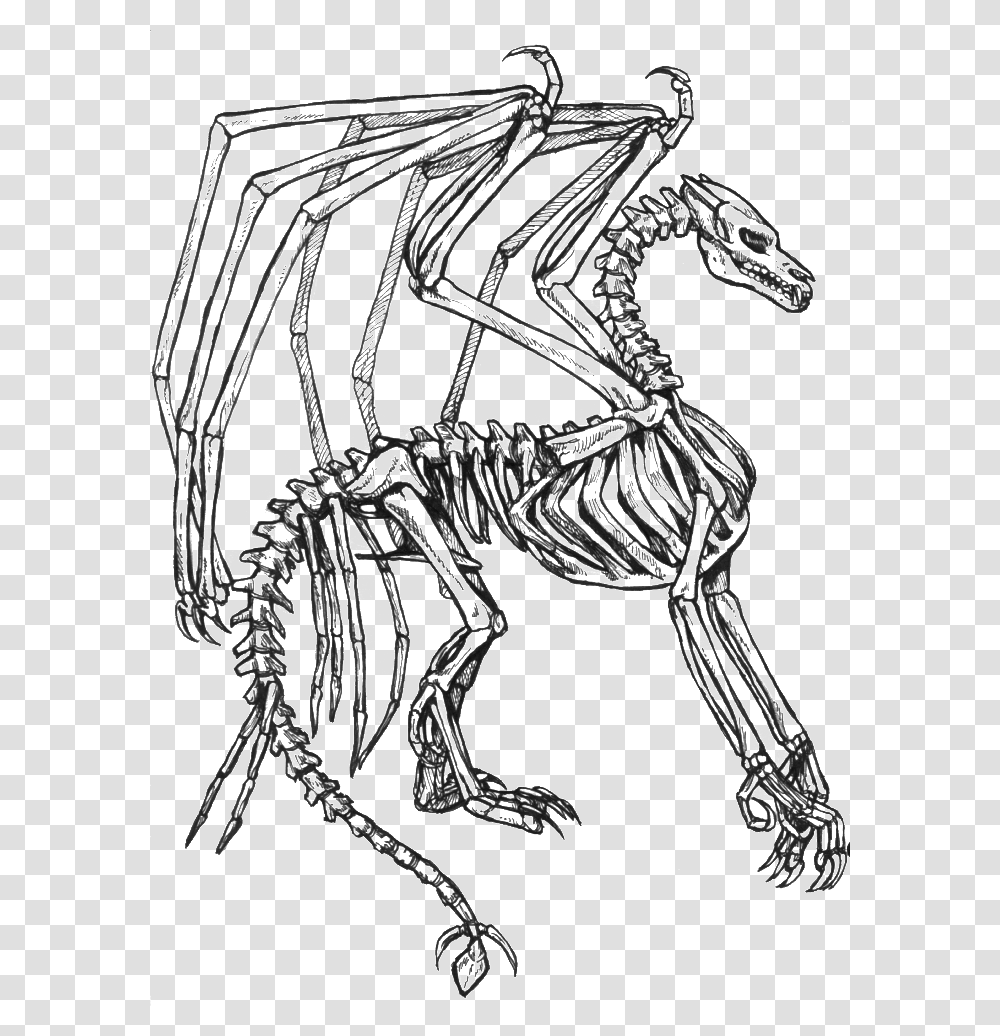 Dragon Skeleton Coloring Pages, Horse, Mammal, Animal Transparent Png