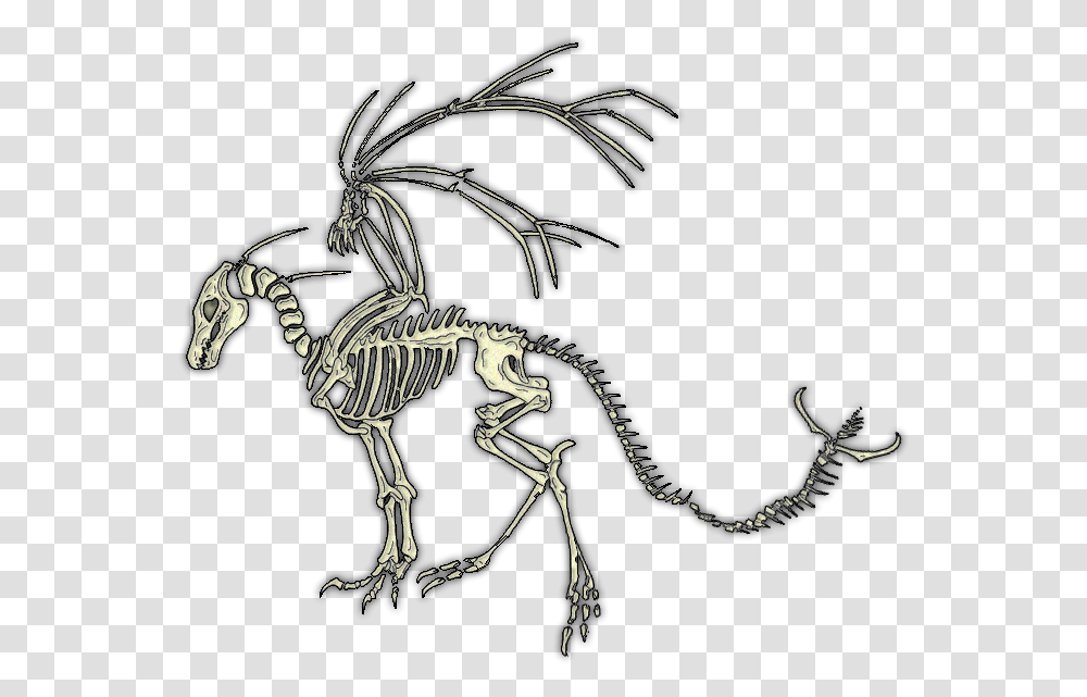 Dragon Skeleton No Background, Bird, Animal Transparent Png