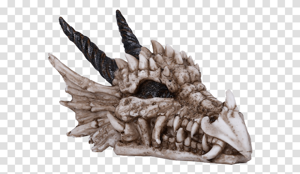 Dragon Skull Statue Statue, Fungus, Hook, Claw, Ivory Transparent Png