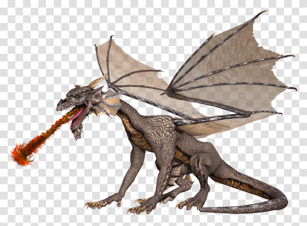 Dragon Spitting Fire Clipart Fire Breathing Dragon, Lizard, Reptile, Animal, Insect Transparent Png