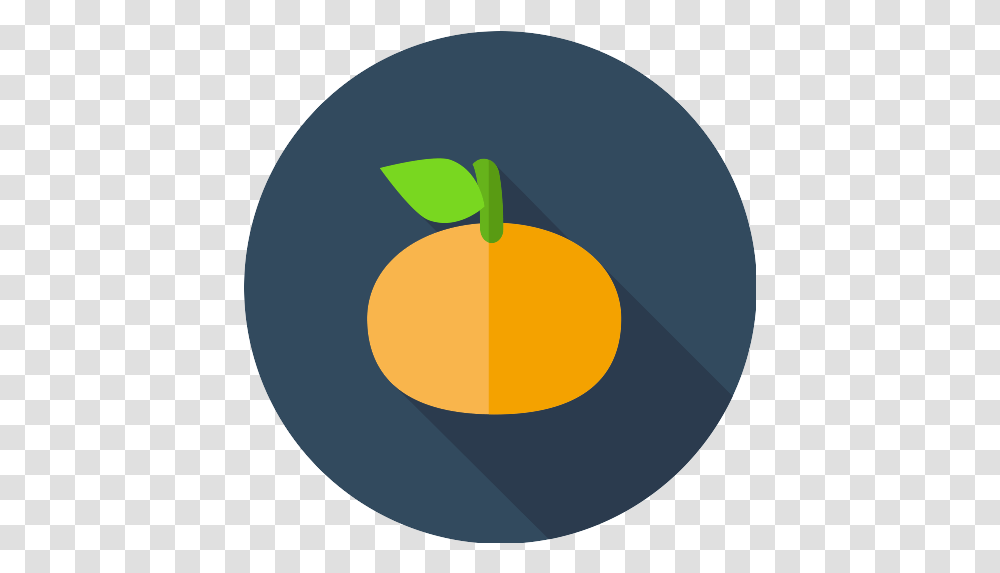 Dragon Vector Svg Icon 5 Repo Free Icons Orange, Plant, Apricot, Fruit, Produce Transparent Png