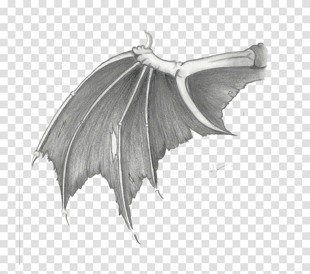 Dragon Wings Images Dragon Wings, Animal, Mammal, Bat, Wildlife Transparent Png