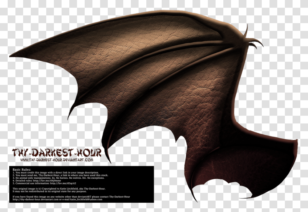 Dragon Wings Side View, Flyer, Poster, Paper, Advertisement Transparent Png