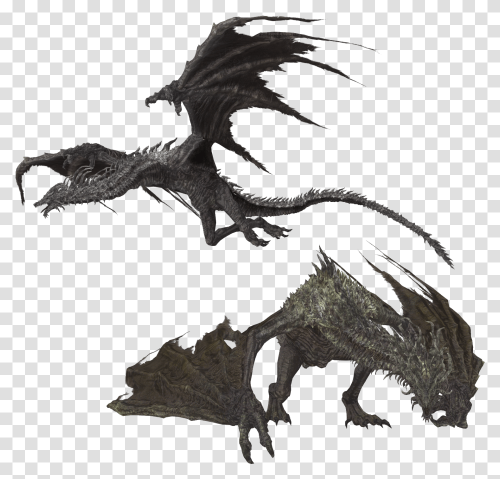 Dragon Wyvern Smaug Dark Souls The Elder Scrolls V Skyrim Dragon Wyvern, Dinosaur, Reptile Transparent Png