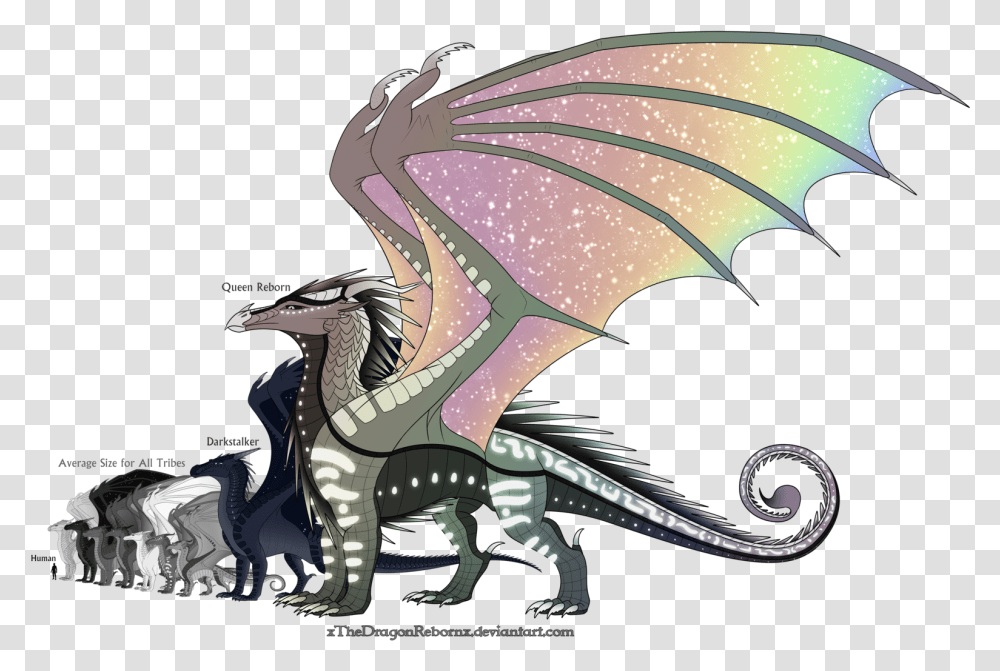 Dragonet Wings Of Fire Transparent Png