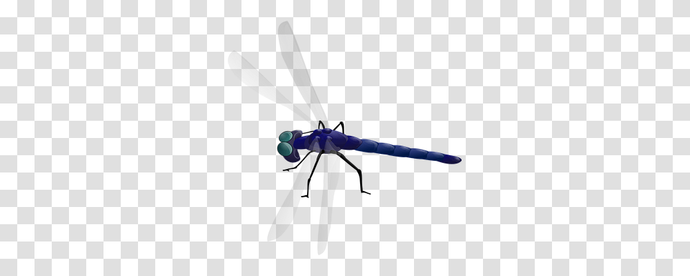 Dragonfly Animals, Bow, Insect, Invertebrate Transparent Png