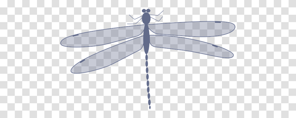 Dragonfly Insect, Invertebrate, Animal, Anisoptera Transparent Png