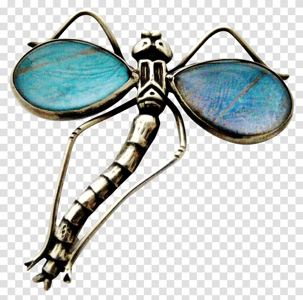 Dragonfly, Animal, Invertebrate, Insect, Accessories Transparent Png
