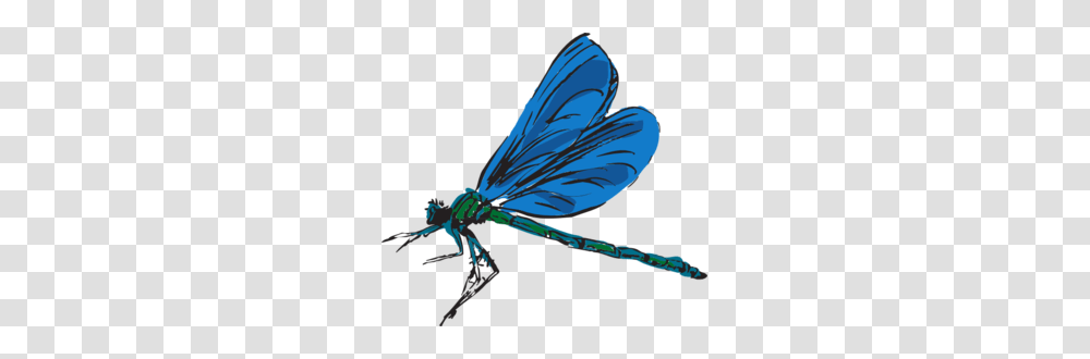 Dragonfly Art Clip Art, Insect, Invertebrate, Animal, Anisoptera Transparent Png