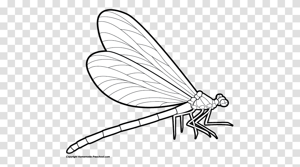 Dragonfly Clip Art In Black And White Clip Art, Insect, Invertebrate, Animal, Anisoptera Transparent Png