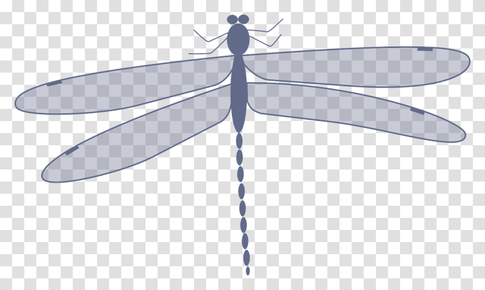 Dragonfly Clip Art, Insect, Invertebrate, Animal, Anisoptera Transparent Png