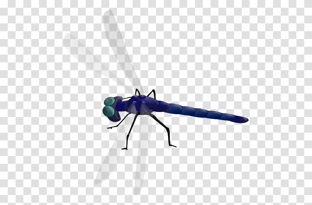 Dragonfly Clip Arts Download, Insect, Invertebrate, Animal, Bow Transparent Png