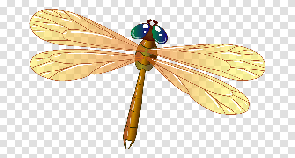 Dragonfly Clipart Clipart Images Of Dragonfly, Insect, Invertebrate, Animal, Anisoptera Transparent Png