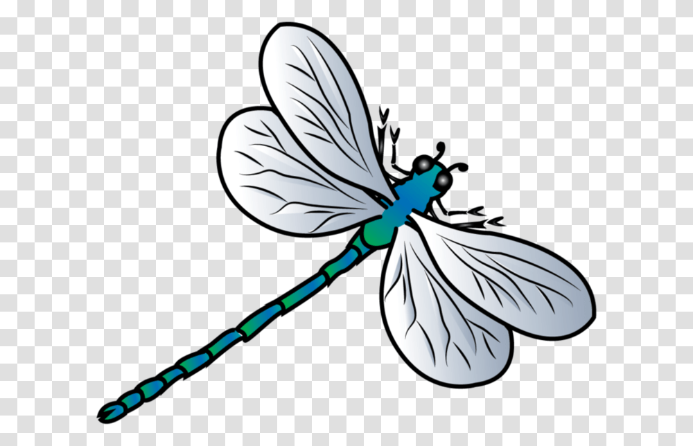 Dragonfly Clipart Dragonfly Clipart, Insect, Invertebrate, Animal, Anisoptera Transparent Png