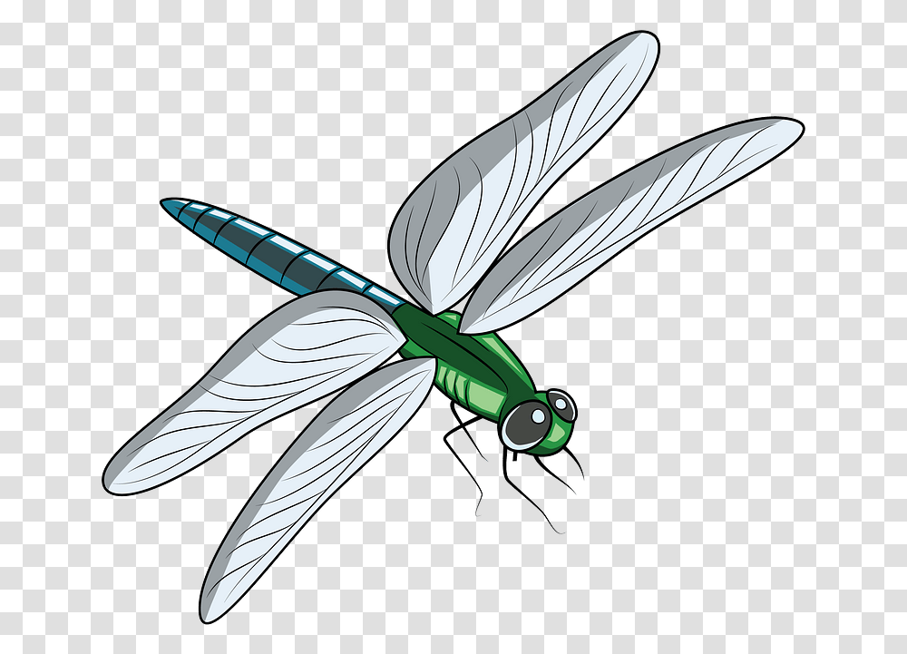 Dragonfly Clipart Free Download Creazilla Clipart Image Of Dragonfly, Insect, Invertebrate, Animal, Anisoptera Transparent Png