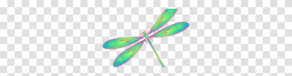Dragonfly Clipart Image, Insect, Invertebrate, Animal, Anisoptera Transparent Png