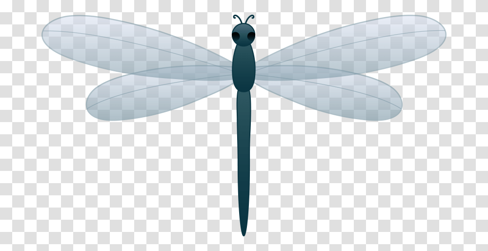 Dragonfly Clipart, Insect, Invertebrate, Animal, Anisoptera Transparent Png