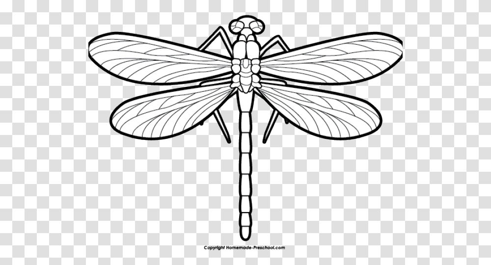 Dragonfly Clipart Scroll Dragonfly Black And White Clip Art, Insect, Invertebrate, Animal, Anisoptera Transparent Png