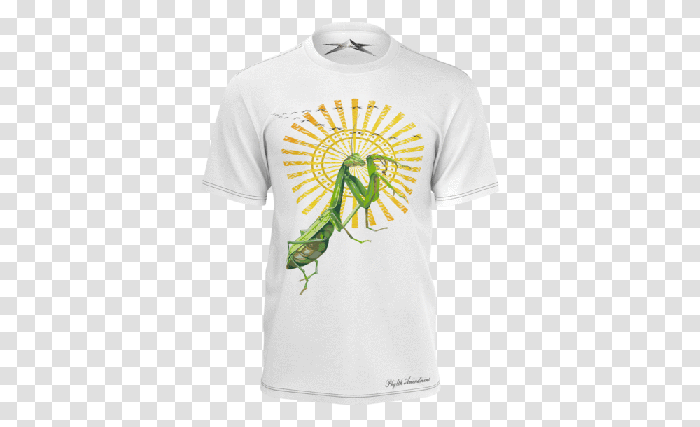 Dragonfly, T-Shirt, Plant, Person Transparent Png