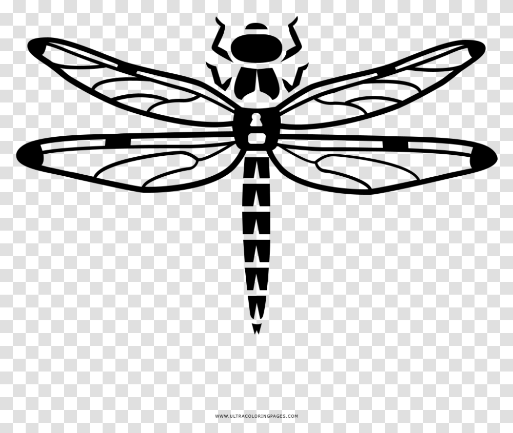 Dragonfly Coloring, Gray, World Of Warcraft Transparent Png