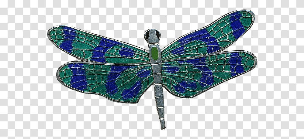 Dragonfly Enamel Damselfly, Insect, Invertebrate, Animal, Anisoptera Transparent Png