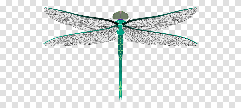 Dragonfly File Darning Needle Bug, Insect, Invertebrate, Animal, Anisoptera Transparent Png