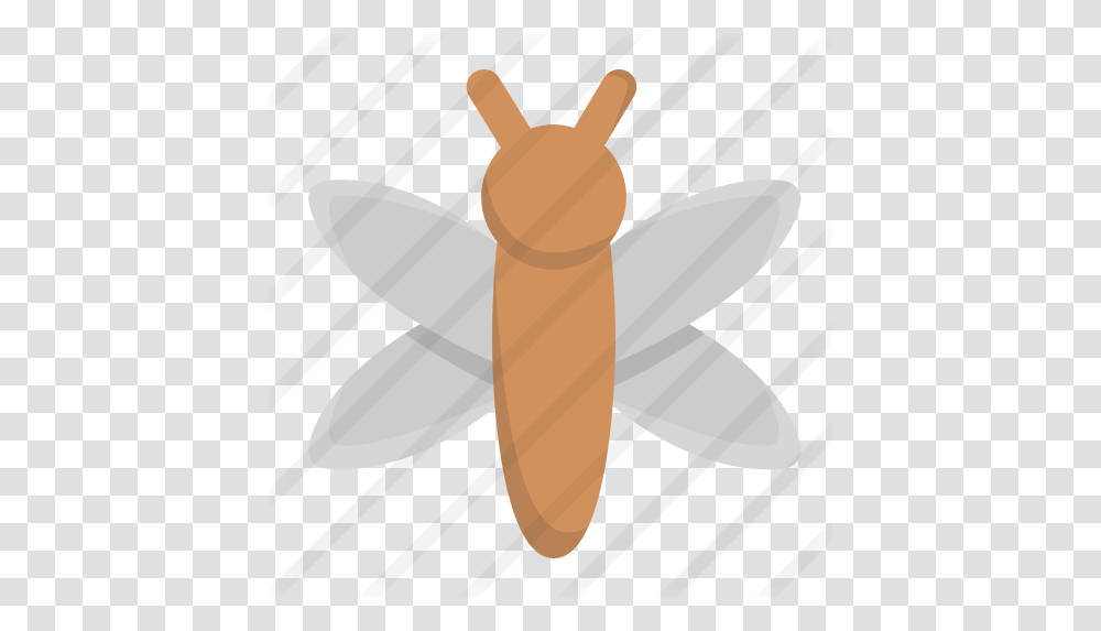 Dragonfly Free Animals Icons Parasitism, Axe, Tool, Insect, Invertebrate Transparent Png