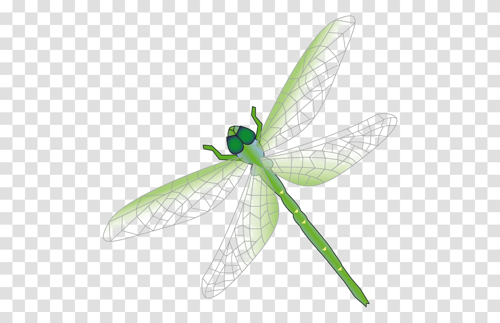 Dragonfly Free Download Dragon Fly Clipart, Insect, Invertebrate, Animal, Anisoptera Transparent Png