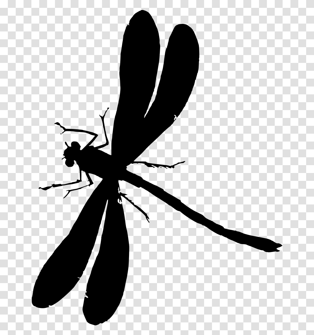 Dragonfly, Gray, World Of Warcraft Transparent Png