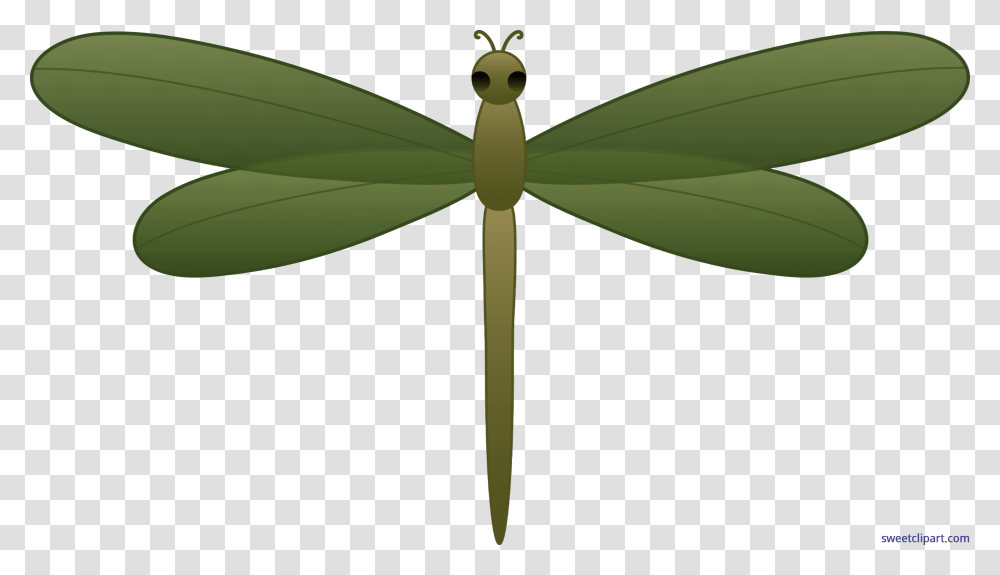Dragonfly Green Clip Art, Insect, Invertebrate, Animal, Anisoptera Transparent Png