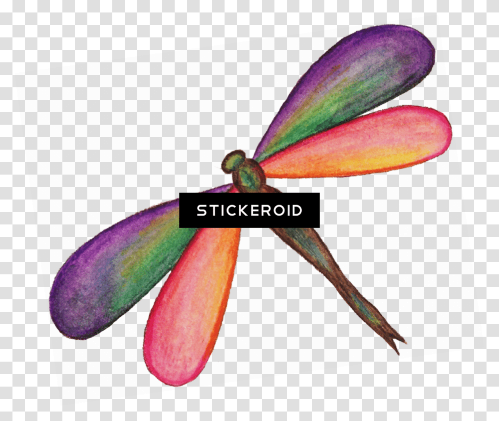 Dragonfly Hd Insects Net Winged Insects, Plant, Flower, Invertebrate, Animal Transparent Png