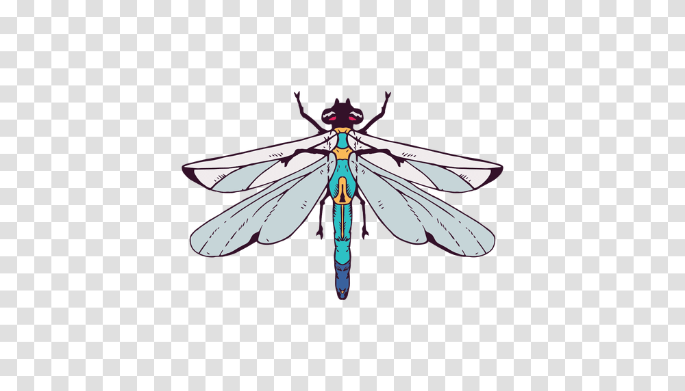 Dragonfly Illustration, Insect, Invertebrate, Animal, Anisoptera Transparent Png