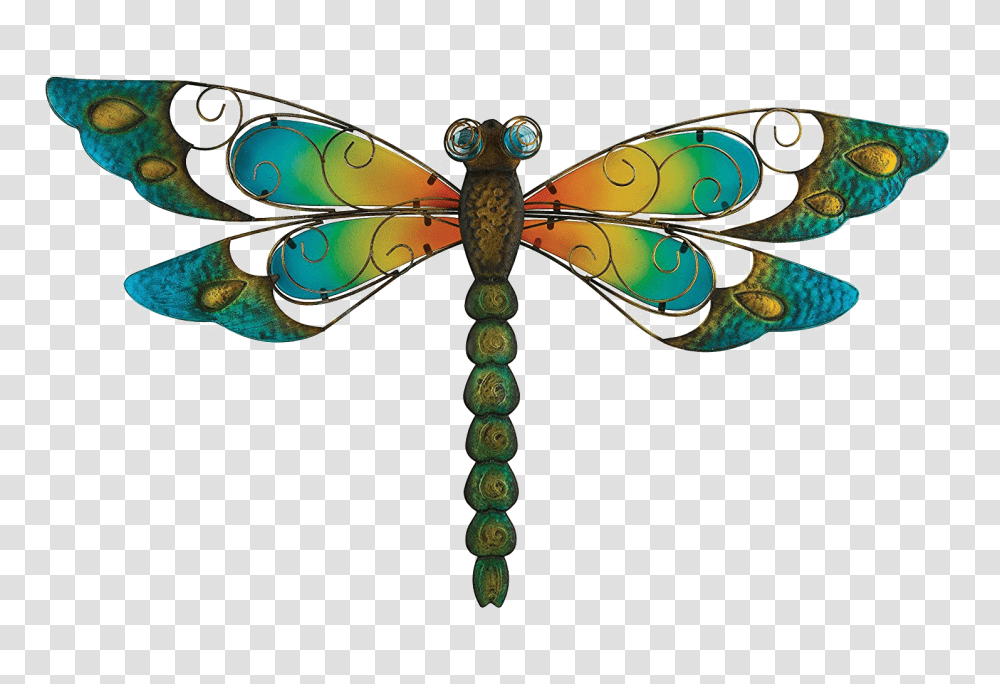 Dragonfly Image Arts, Insect, Invertebrate, Animal, Anisoptera Transparent Png