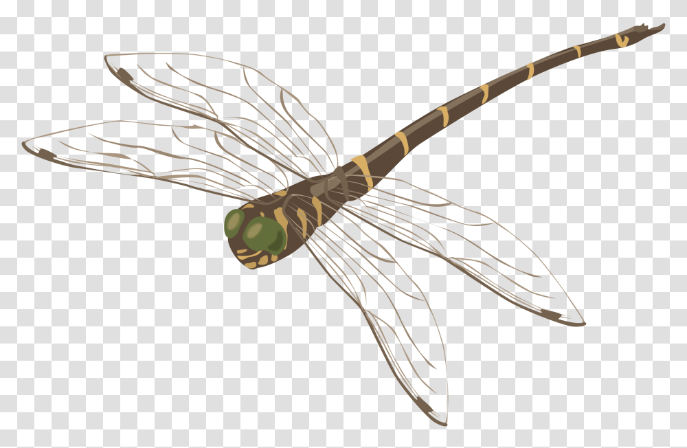 Dragonfly, Insect, Axe, Tool, Weapon Transparent Png