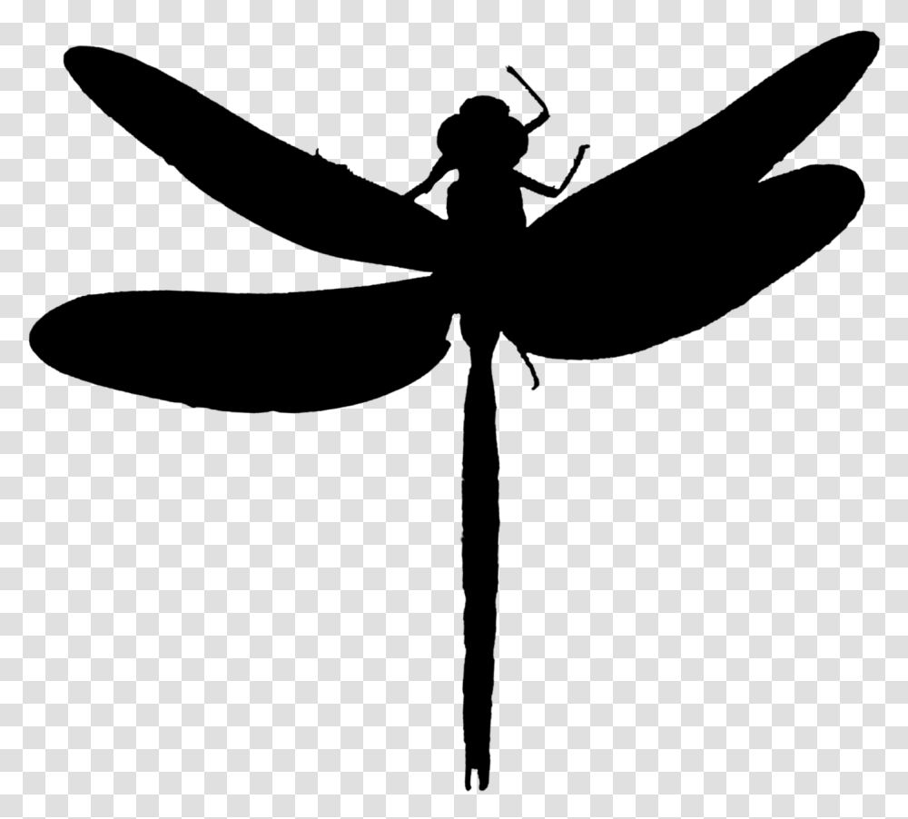 Dragonfly Insect Clip Art Line Silhouette Net Winged Insects, Gray, World Of Warcraft Transparent Png