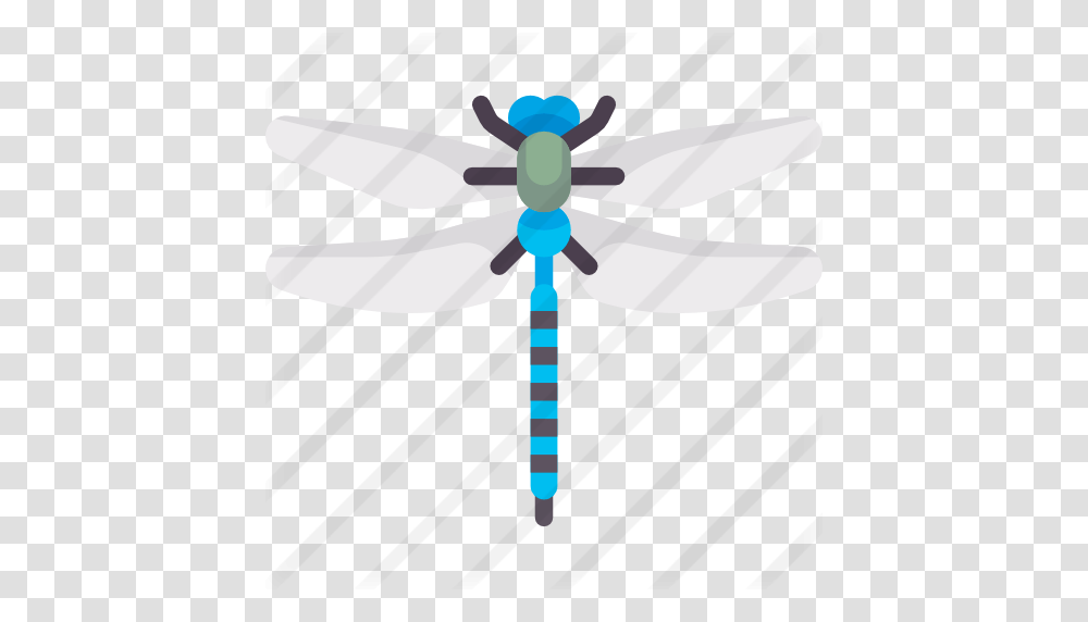 Dragonfly, Insect, Invertebrate, Animal, Anisoptera Transparent Png